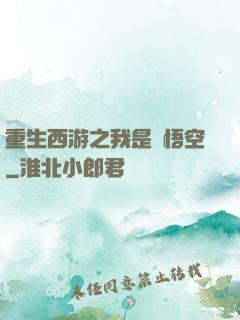 重生西游之我是孫悟空