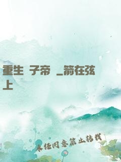 重生電子帝國