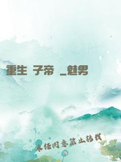重生電子帝國
