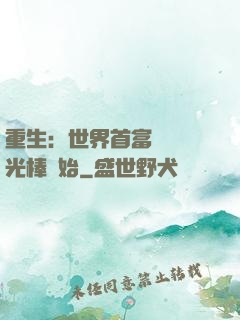 重生：世界首富從賣熒光棒開始
