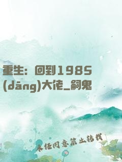 重生：回到1985當(dāng)大佬