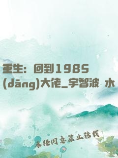 重生：回到1985當(dāng)大佬