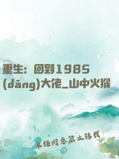 重生：回到1985當(dāng)大佬