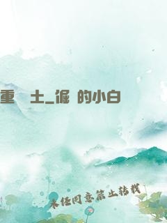 重裝廢土