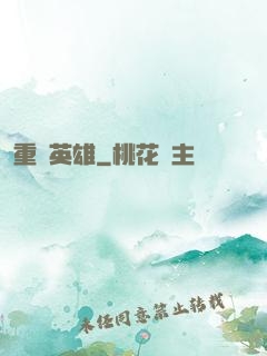 重裝英雄