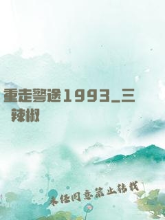 重走警途1993