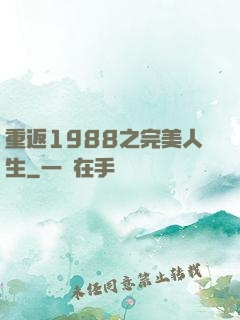重返1988之完美人生