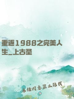 重返1988之完美人生