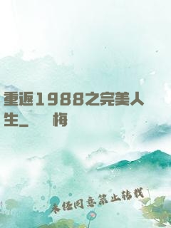 重返1988之完美人生