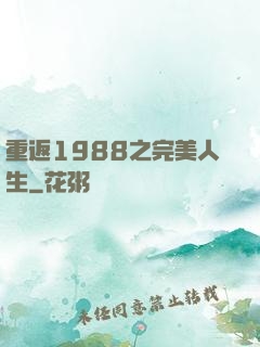 重返1988之完美人生
