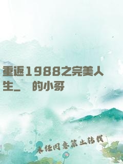 重返1988之完美人生