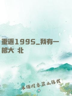 重返1995