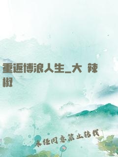 重返博浪人生