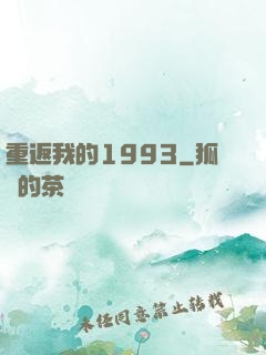 重返我的1993