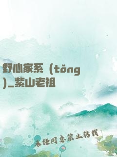 野心家系統(tǒng)