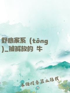 野心家系統(tǒng)