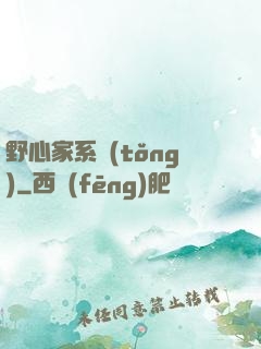 野心家系統(tǒng)