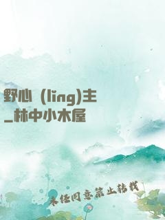 野心領(lǐng)主