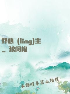 野心領(lǐng)主