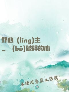 野心領(lǐng)主