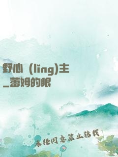 野心領(lǐng)主