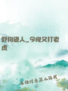野狗道人