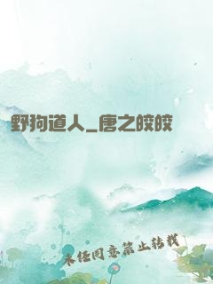 野狗道人