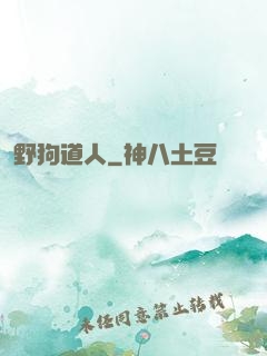 野狗道人