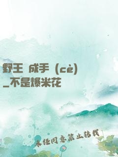 野王煉成手冊(cè)