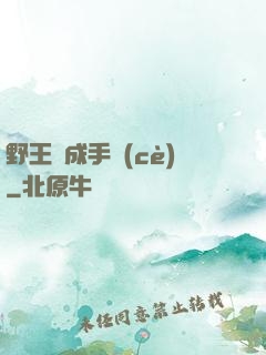 野王煉成手冊(cè)