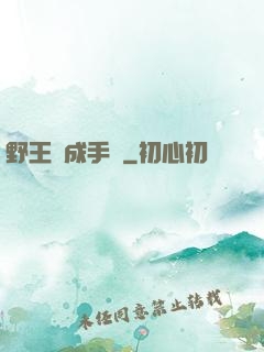 野王煉成手冊