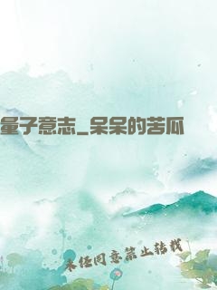 量子意志