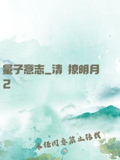量子意志