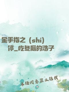 金手指之時(shí)間暫停