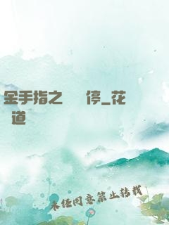 金手指之時間暫停