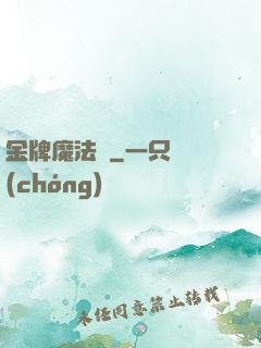 金牌魔法師