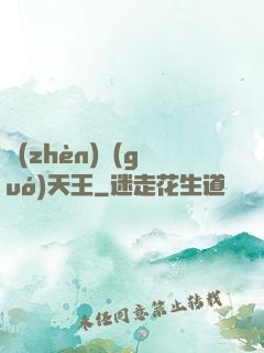 鎮(zhèn)國(guó)天王