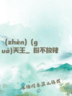 鎮(zhèn)國(guó)天王