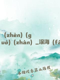 鎮(zhèn)國(guó)戰(zhàn)龍