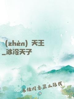 鎮(zhèn)國天王