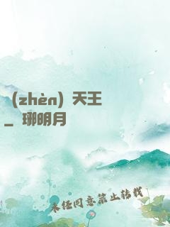 鎮(zhèn)國天王