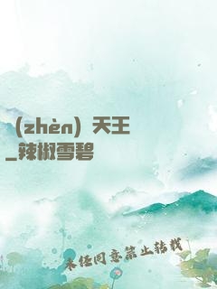 鎮(zhèn)國天王