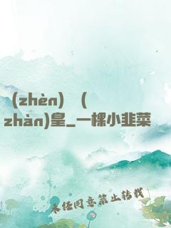 鎮(zhèn)國戰(zhàn)皇