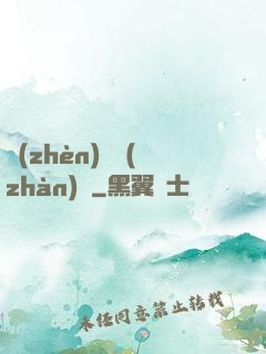 鎮(zhèn)國戰(zhàn)龍