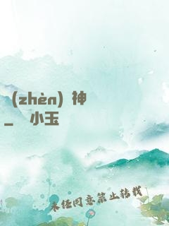 鎮(zhèn)國神帥