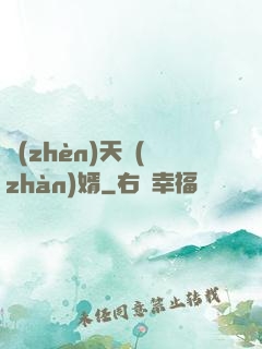 鎮(zhèn)天戰(zhàn)婿
