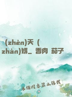 鎮(zhèn)天戰(zhàn)婿