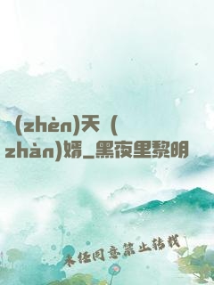 鎮(zhèn)天戰(zhàn)婿