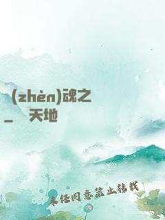 鎮(zhèn)魂之書