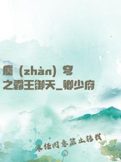 鏖戰(zhàn)蒼穹之霸王御天
